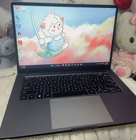 小米/Redmi笔记本 锐龙版R5/550...