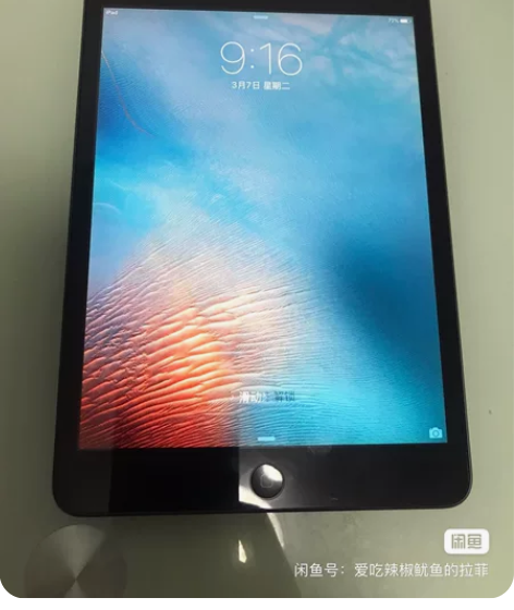 ipad mini，型号528ch/a国行...