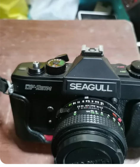 SeaGull海鸥相机,型号DF一2ETM...