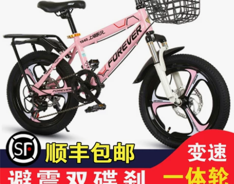 永久儿童自行车女孩6-7-10-12-15...