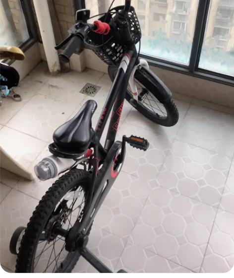 喜德盛八点五成新电动车，上班地方离得很近，...