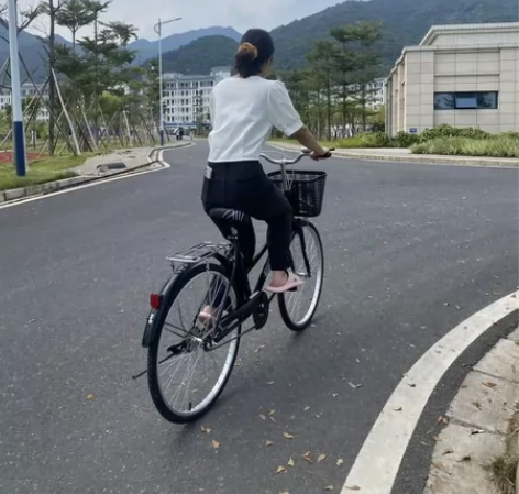 自行车成人男式女式24寸26寸复古车通勤车...