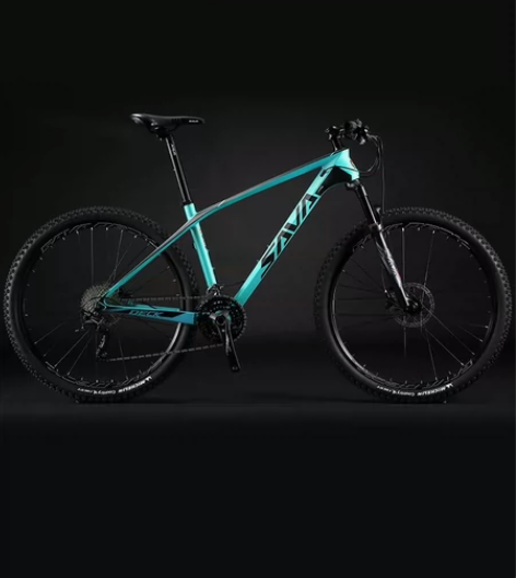 29寸 sava碳纤维自行车，20年买的，...