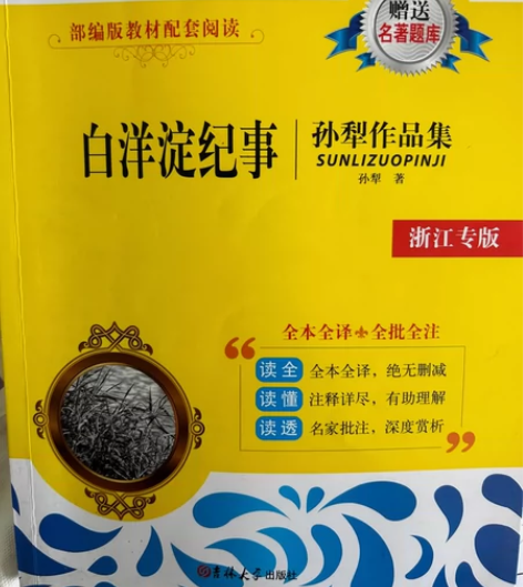 白洋淀纪事 几乎全新低价卖几乎全新￥20