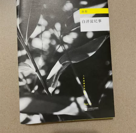 《白洋淀纪事》孙犁 江苏凤凰文艺出版社  ...