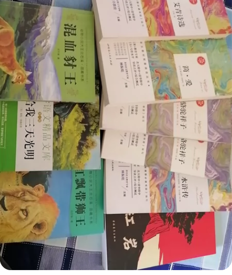 闲置书籍 红岩  艾青诗选  骆驼祥子  ...