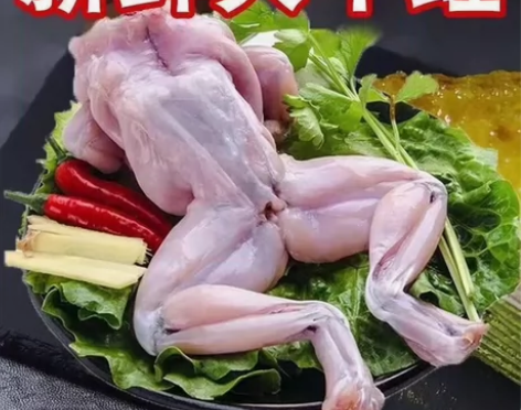 【无冰衣现杀】新鲜牛蛙鲜活特大号冷冻去头去...