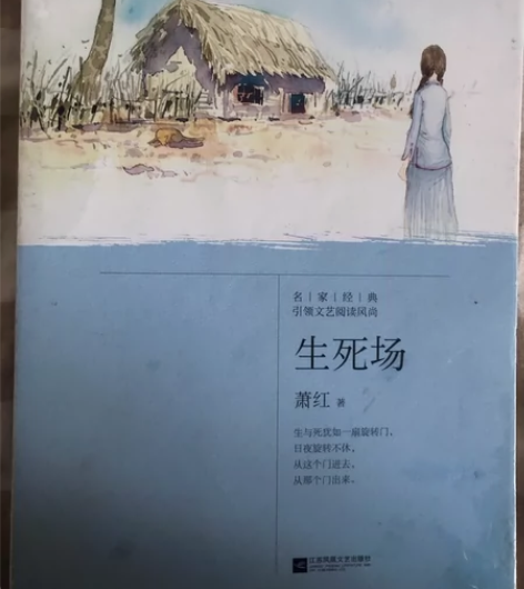 《生死场》只有外面放的有一点点脏 里面很新...