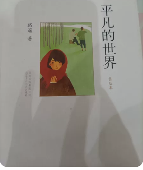 平凡的世界，95新。没怎么看过放太久了 感...