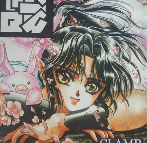 圣传卡片红皮版8张 国内最早的圣传版本 九...