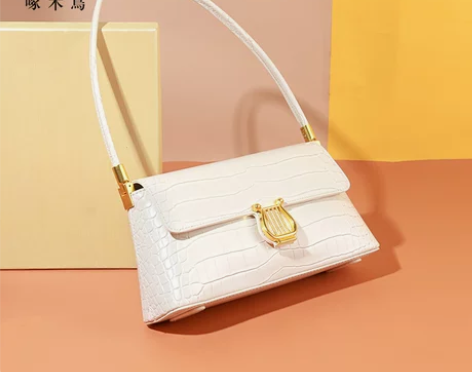 啄木鸟腋下包包2021新款小众设计手提单肩...