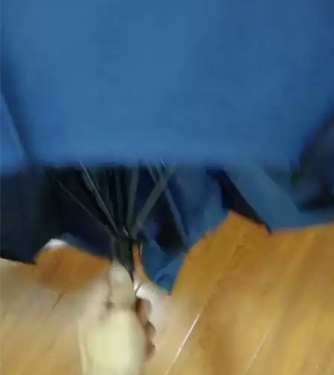 美度大号折叠雨伞，十跟伞骨，结实耐用，大品...