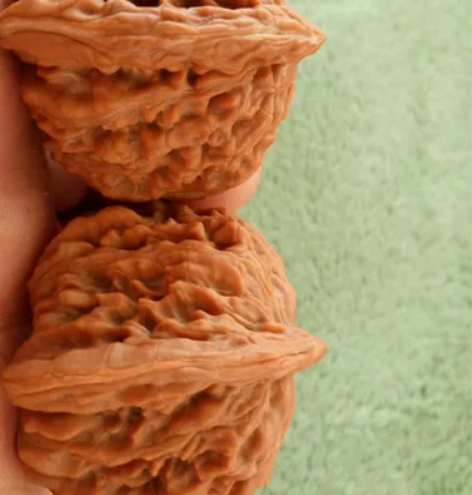 放漏一对牛货,绝对的好货,抢抢抢!!!【牛...