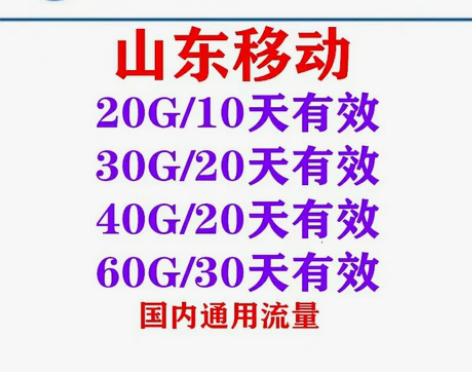 山东移动流量包20G30G40G60G大额...