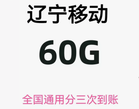辽宁移动流量60g 流量加油包 移动流量...