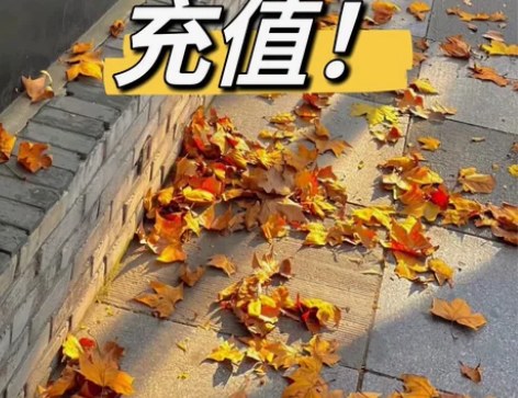 山东联通河南联通河北联通江苏联通安徽联通浙...