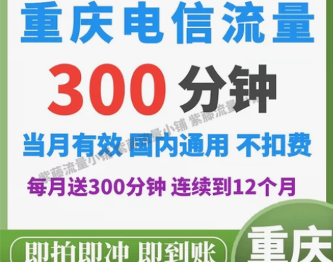 重庆电信 重庆电信语音包300分钟 国内通...