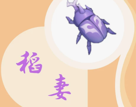 原神代肝稻妻鬼兜虫 100个/10r   ...