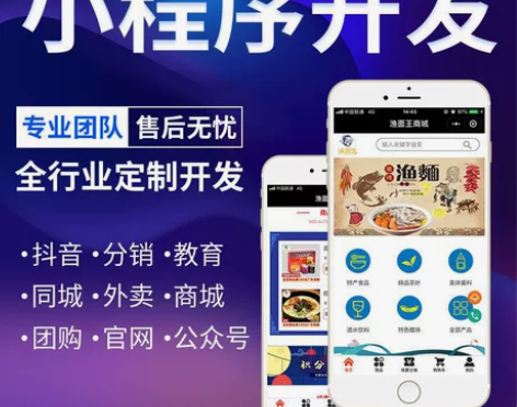 软件开发代做python编程app定制小程...