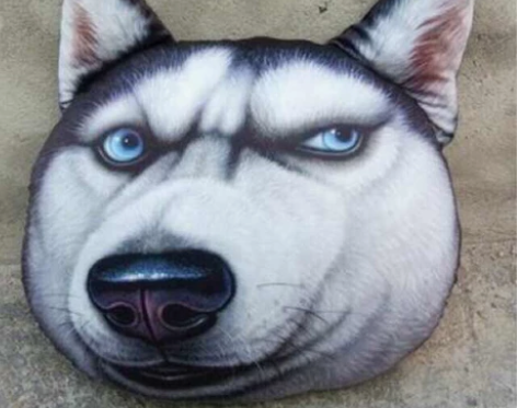 php网站定制二次开发，app小程序，后期...