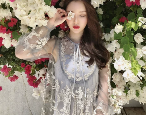 ?李雨薇 订制夏季韩版重工刺绣长袖网纱透视...