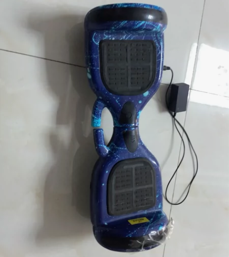 德国正品zola智能平衡车，电池充不上电了...