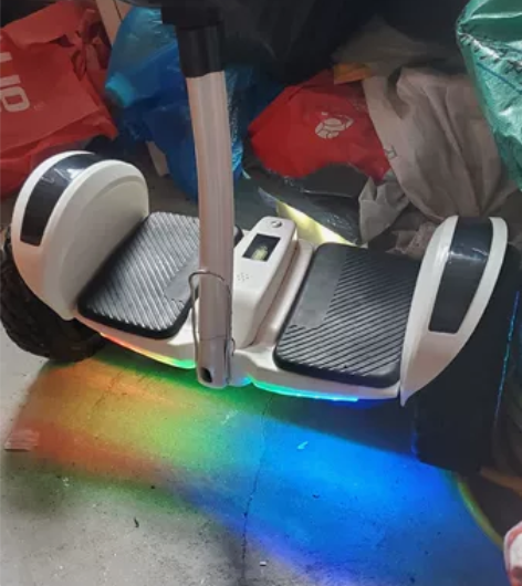 德国ZOLA官方旗舰店新款平衡车成年智能腿...