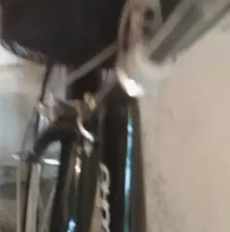 500元，凤凰牌自行车，喜欢自提。9.9成...