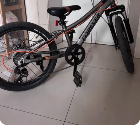 永久儿童自行车，线下实体店1000多元购入...