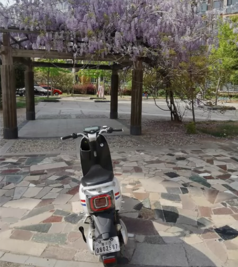 台铃米可， 圆润小巧 ，颜色靓丽，高密度烤...