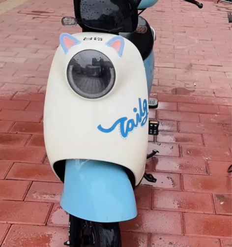 转卖自己的台铃电动车一台 60V电池 满电...