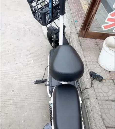 【白菜价处理】新日48V12A锂电车锂电车...