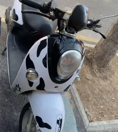 出售:小牛新的电动车  成色很新  五个电...