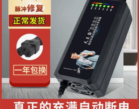 自动断电智能电动车电瓶充电器60V 20A...