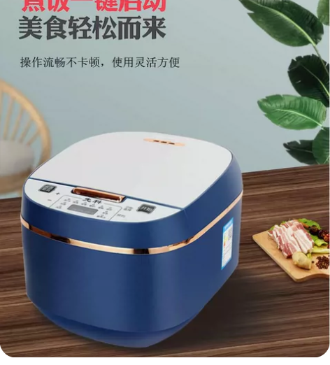 全新先科烫金电饭煲,厂家直销,5L大容量,...
