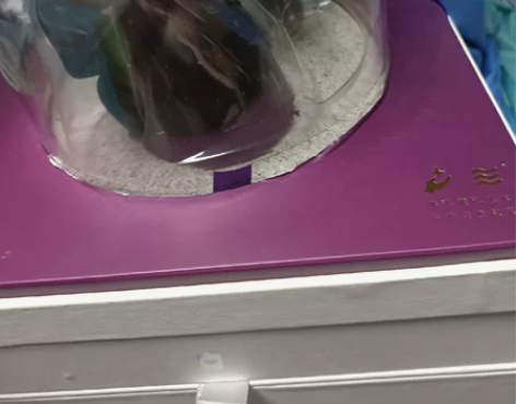 【急出光遇相遇限定礼盒】可拆开卖 ?烛台加...