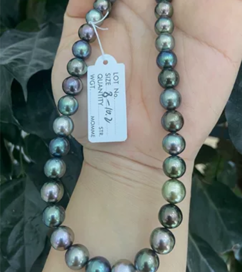 南太平洋的小岛 珍珠项链 当镜子照的珠光...