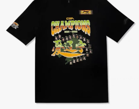 辽宁夺冠T,全新,未上身,保证正品 感兴趣...