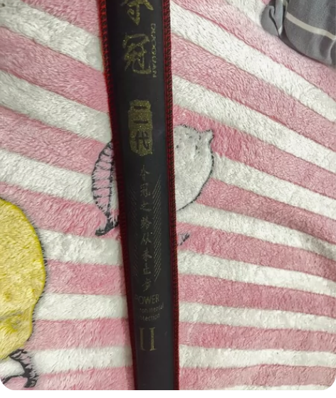 领路人夺冠二代钓鱼竿综合竿超轻超硬钓竿新手...