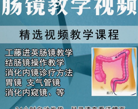 教学资料 视频肠镜操作技巧讲解教学课程日本...
