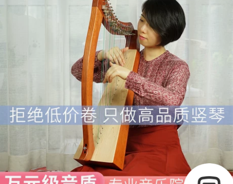 半音竖琴沃尔特入门爱尔兰凯尔乙女小竖琴19...