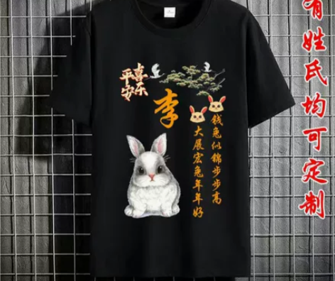 100%棉夏季新款短袖t恤男女姓氏定制兔年...