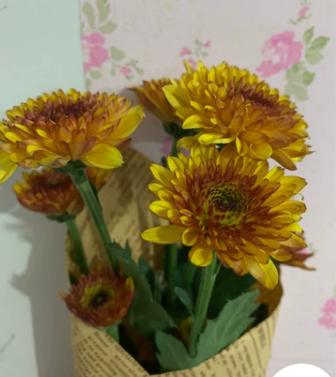 代拍 淘宝 书签名 -价格好商量抢不到不要...