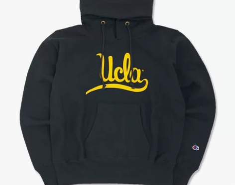 UCLA 加州大学 洛杉矶分校 CHAMP...