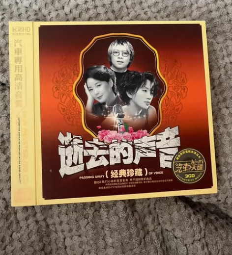 逝去的声音 邓丽君 张国荣梅艳芳 经典老歌...
