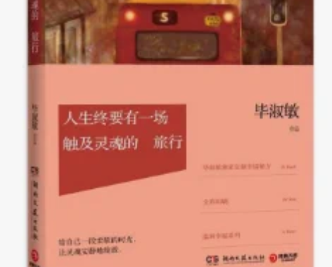 正版二手 人生终要有一场触及灵魂的旅行毕淑...