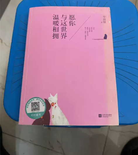 正版二手 愿你与这世界温暖相拥 毕淑敏  ...