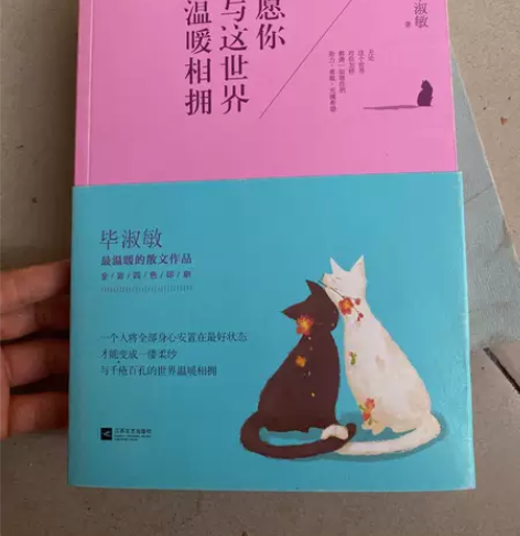 【已消毒】正版二手书愿你与这世界温暖相拥毕...