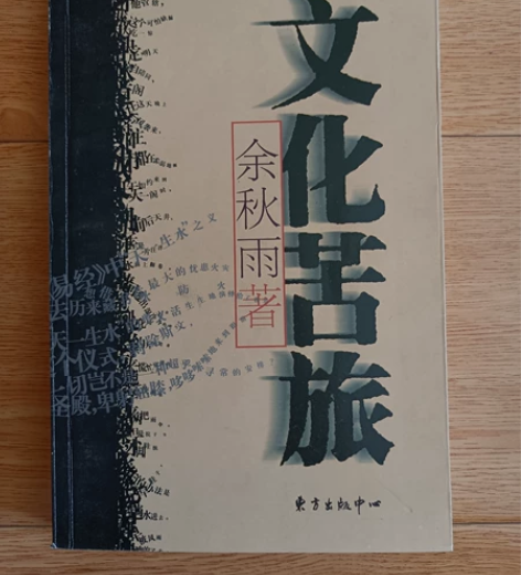 出：文化苦旅，作者余秋雨 （1）出版社：东...