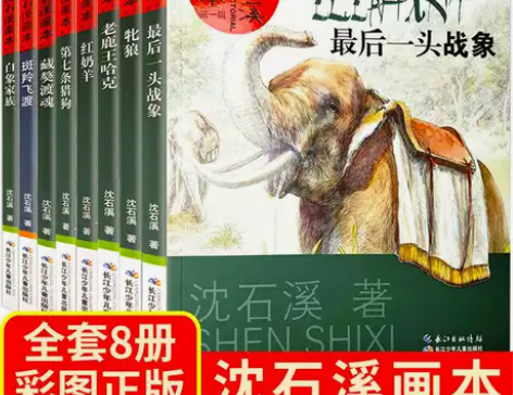 小说书籍沈石溪画本全套8册动物小说全集最后...